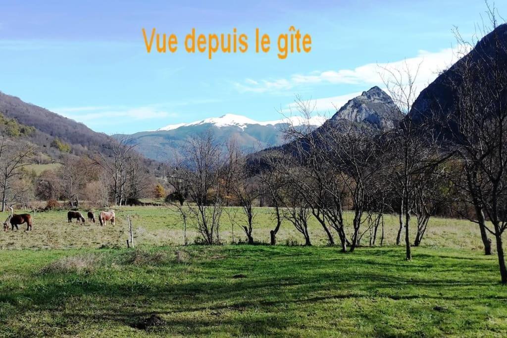 Vila Grange En Pierres. Grand Jardin Et Belle Vue Saurat Exteriér fotografie