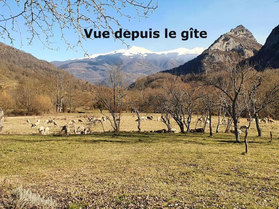 Vila Grange En Pierres. Grand Jardin Et Belle Vue Saurat Exteriér fotografie